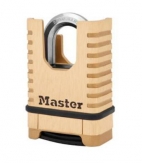 * MasterLock-cutout.jpg